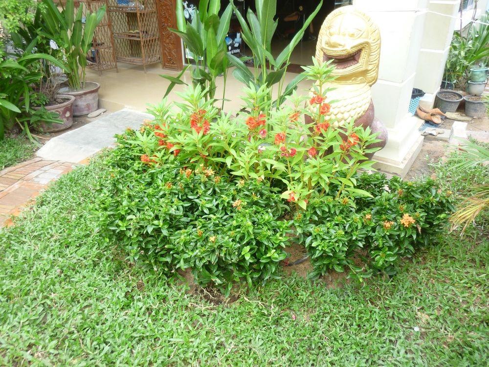 Angkor Reas Guesthouse Ciudad de Siem Riep Exterior foto