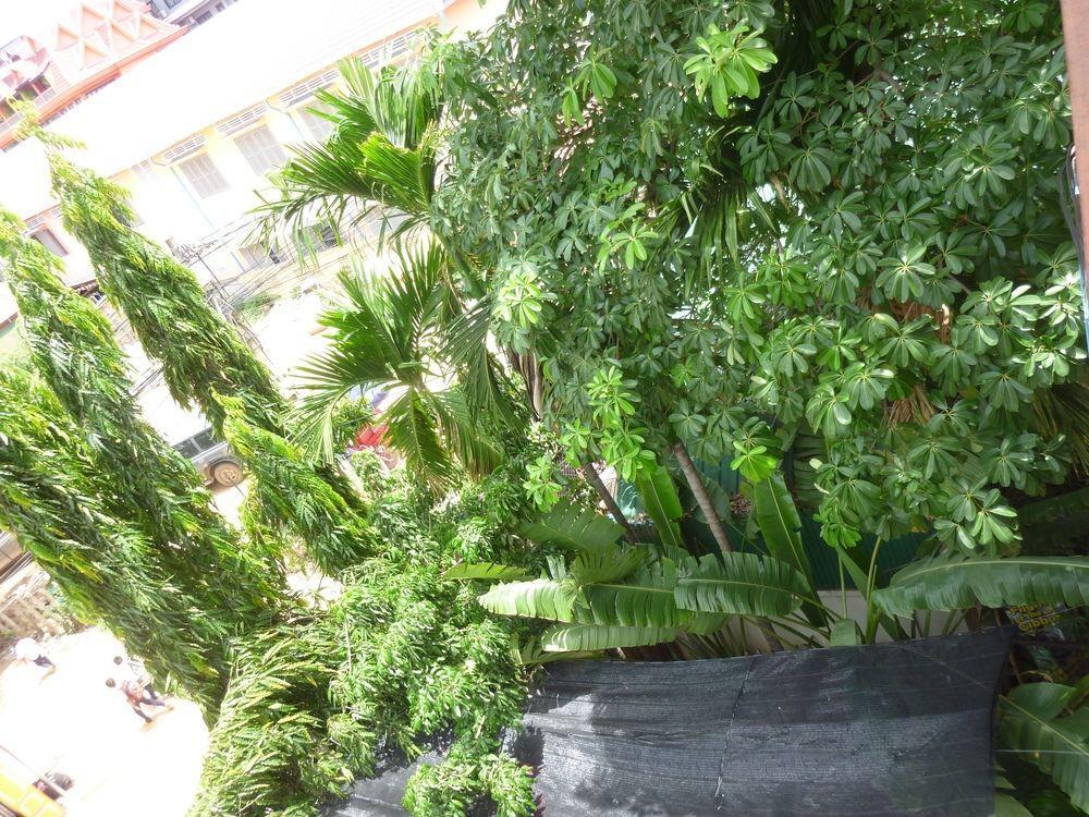 Angkor Reas Guesthouse Ciudad de Siem Riep Exterior foto