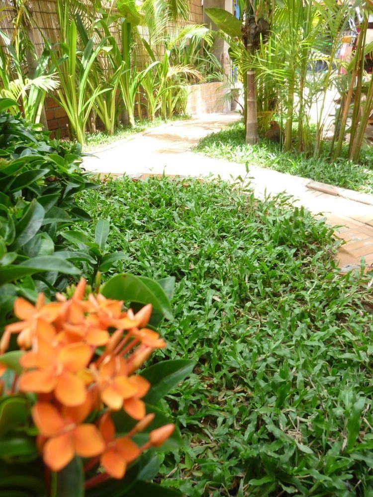 Angkor Reas Guesthouse Ciudad de Siem Riep Exterior foto